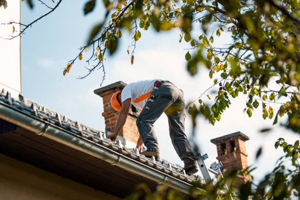 Best Roof Gutter Cleaning  in Bryan, TX